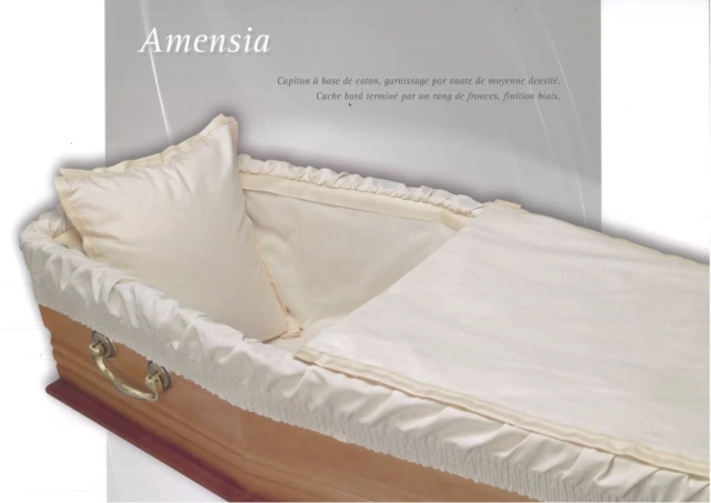 Amensia