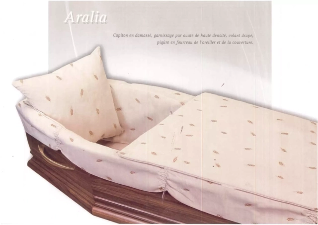Aralia