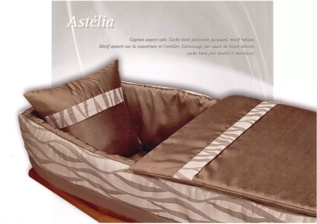 Astélia