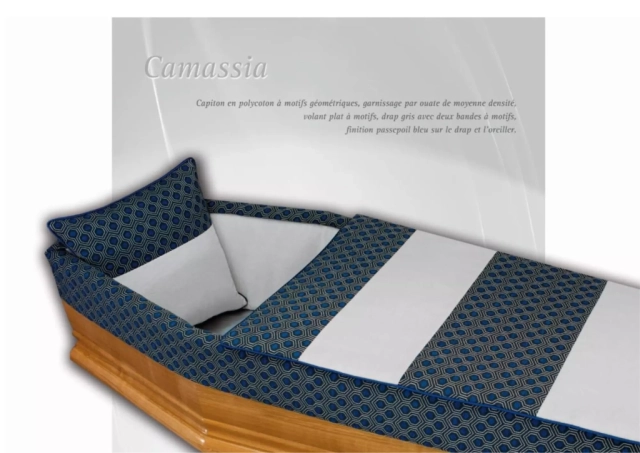 Camassia