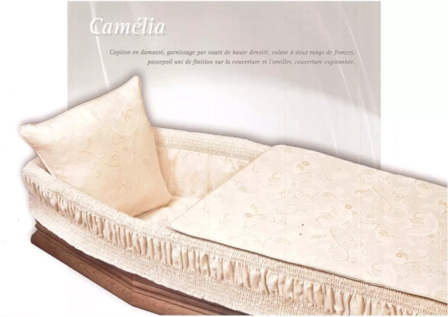 Camélia