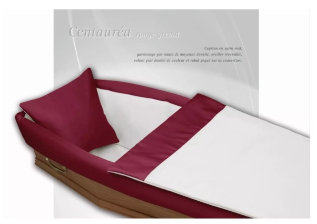 Centauréa rouge grenat