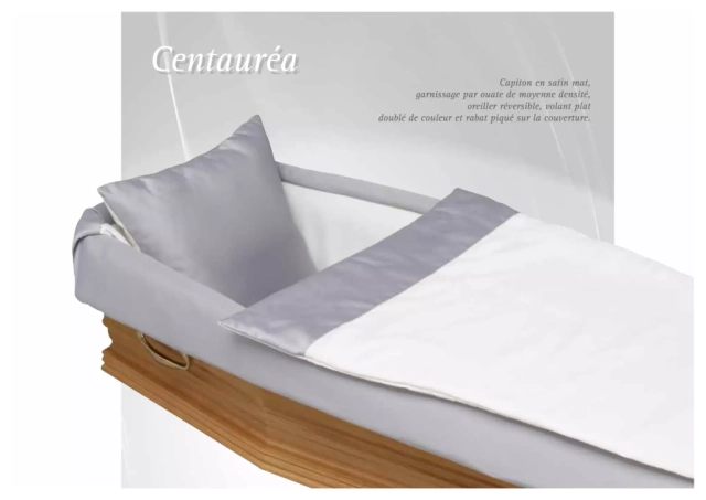 Centeauréa
