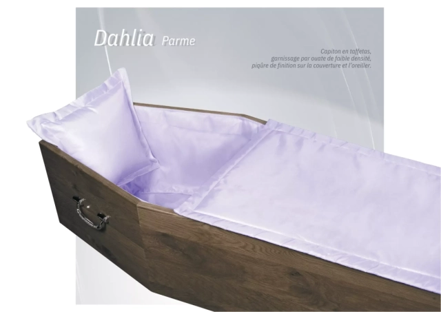 Dahlia Parme