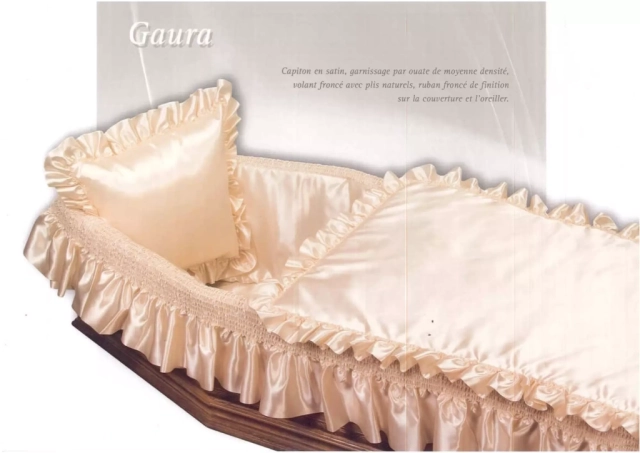 Gaura