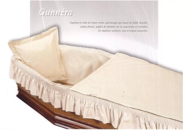Gunnéra