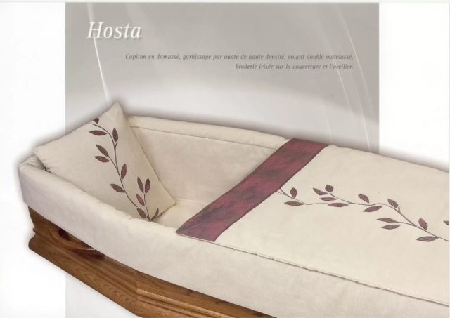 Hosta