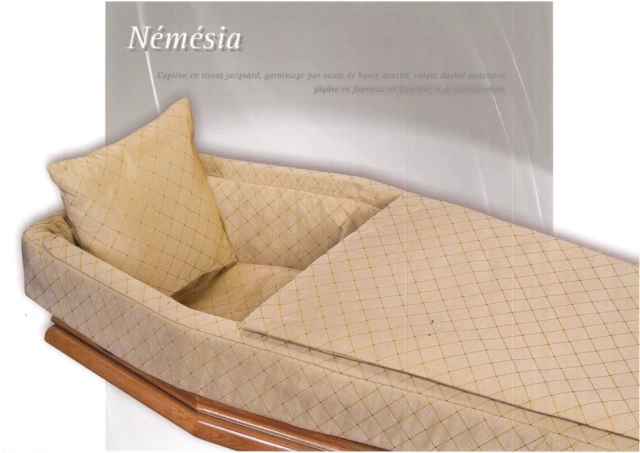 Némésia