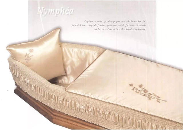 Nymphéa