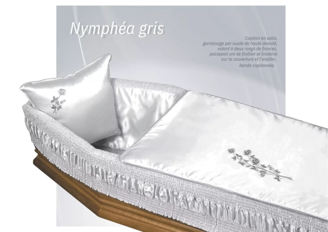 Nymphéa gris