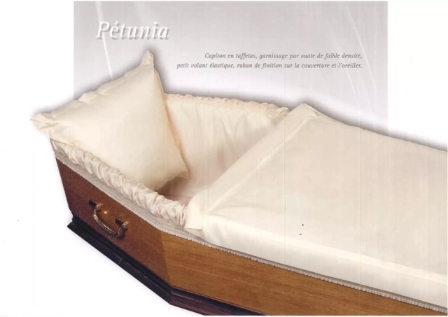 Pétunia