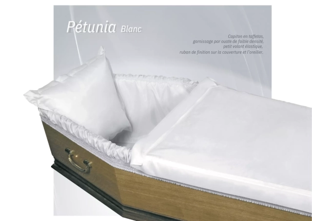 Pétunia Blanc