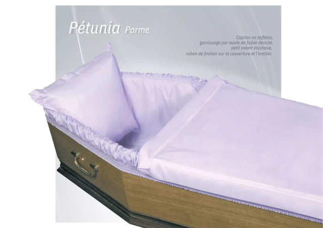 Pétunia Parme
